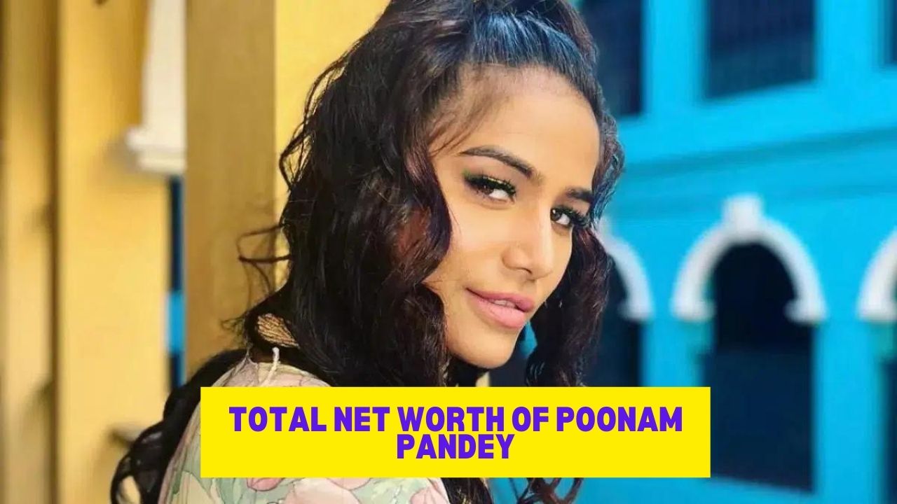 Total Net Worth of Poonam Pandey